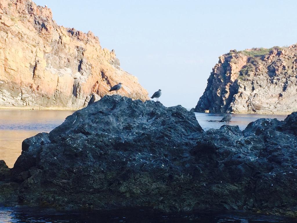 Al Togo Fitness & Relax 3* Vulcano (Isola)